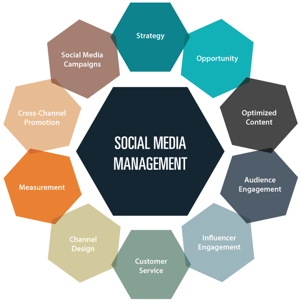 Social Media Management Services, SMM Services, Best Social Media Marketing Agency in Qatar