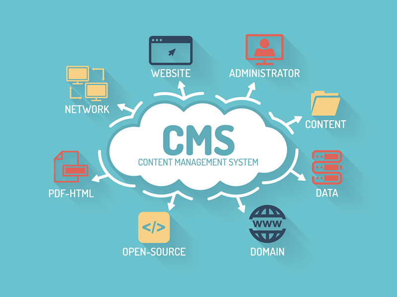 Custom CMS Development Services in Qatar - Scalable Content Management Solutions